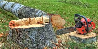 Best Lot and Land Clearing  in South San Francisco, CA